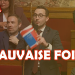 Vice-présidente de l’Assemblée : entre incompétence et mensonge